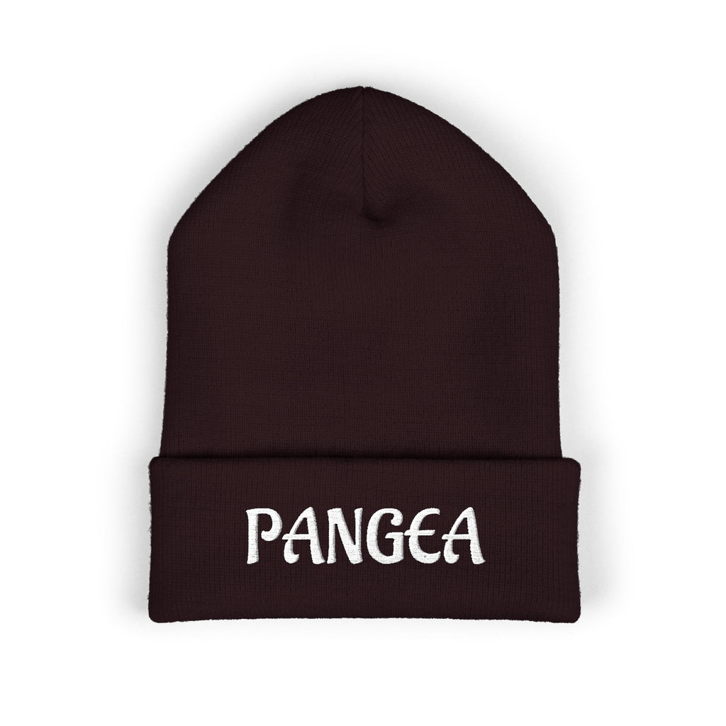 PANGEA Classic embroidered cuffed beanie |