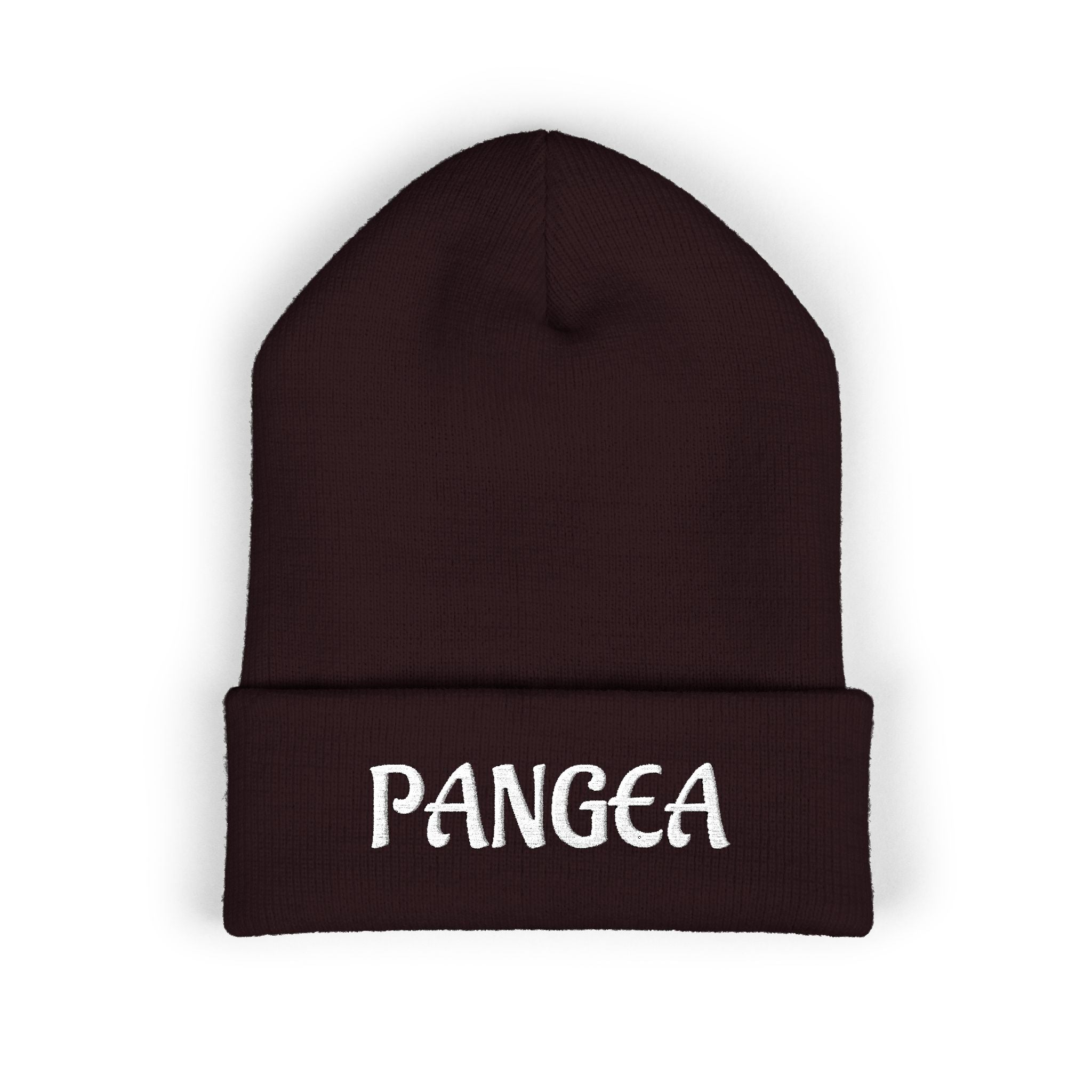 PANGEA Classic embroidered cuffed beanie |