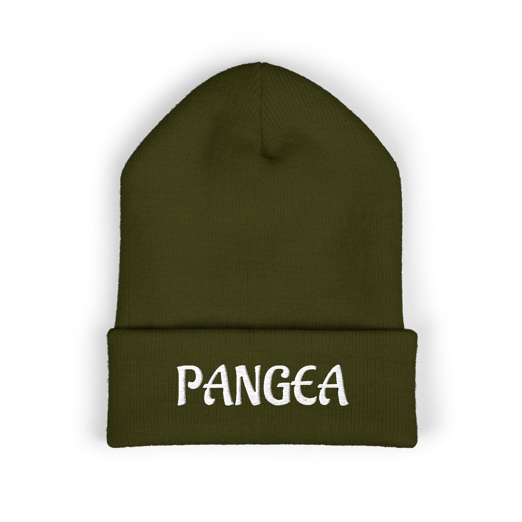 PANGEA Classic embroidered cuffed beanie |