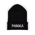 PANGEA Classic embroidered cuffed beanie |