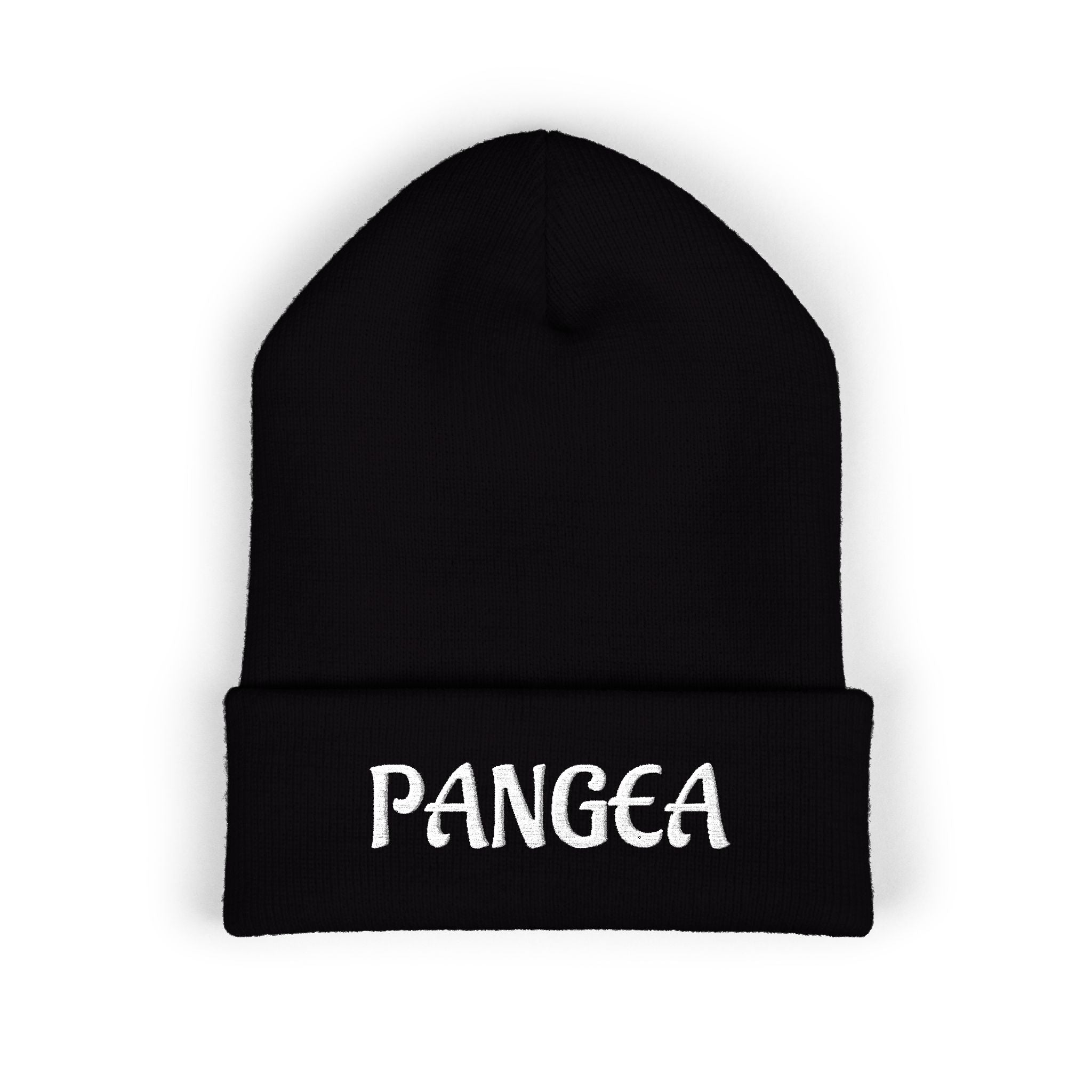 PANGEA Classic embroidered cuffed beanie |