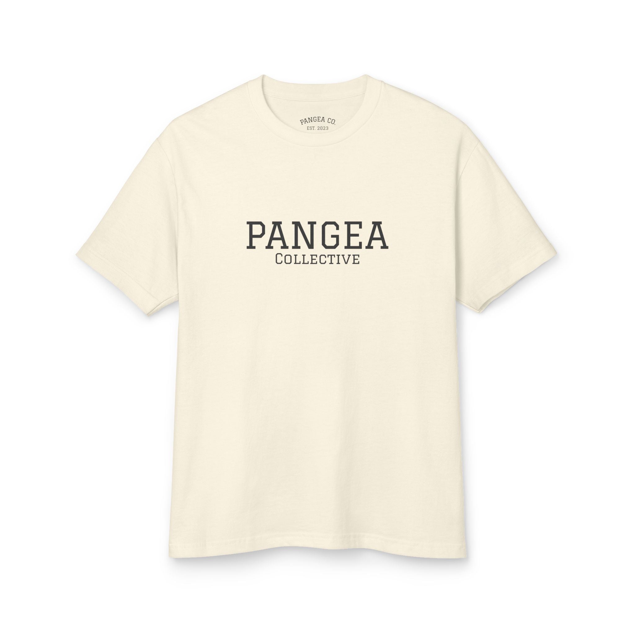Pangea Globe Graphic Tee — Vintage Earth Map T-Shirt
