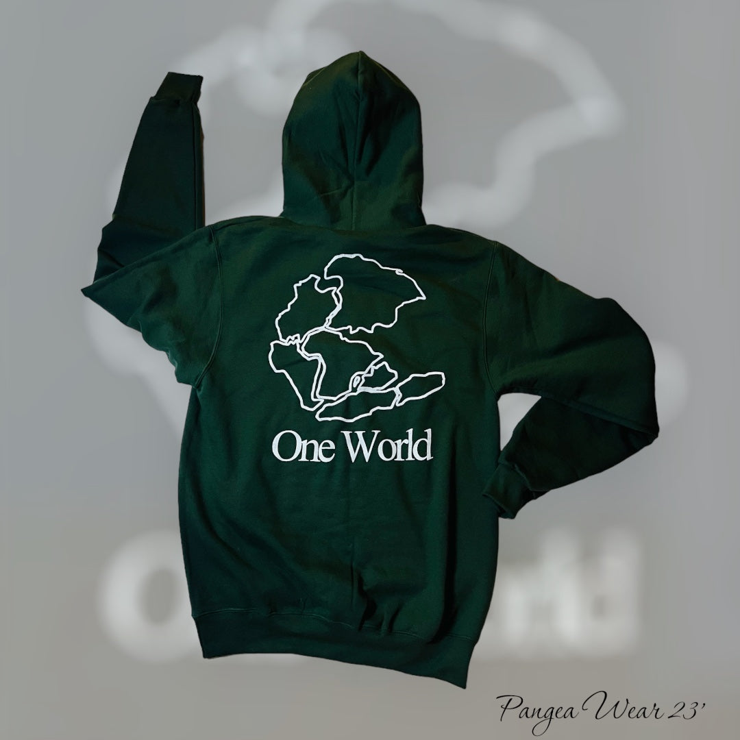 Champion Pangea Double Dry Eco Hooded Sweatshirt