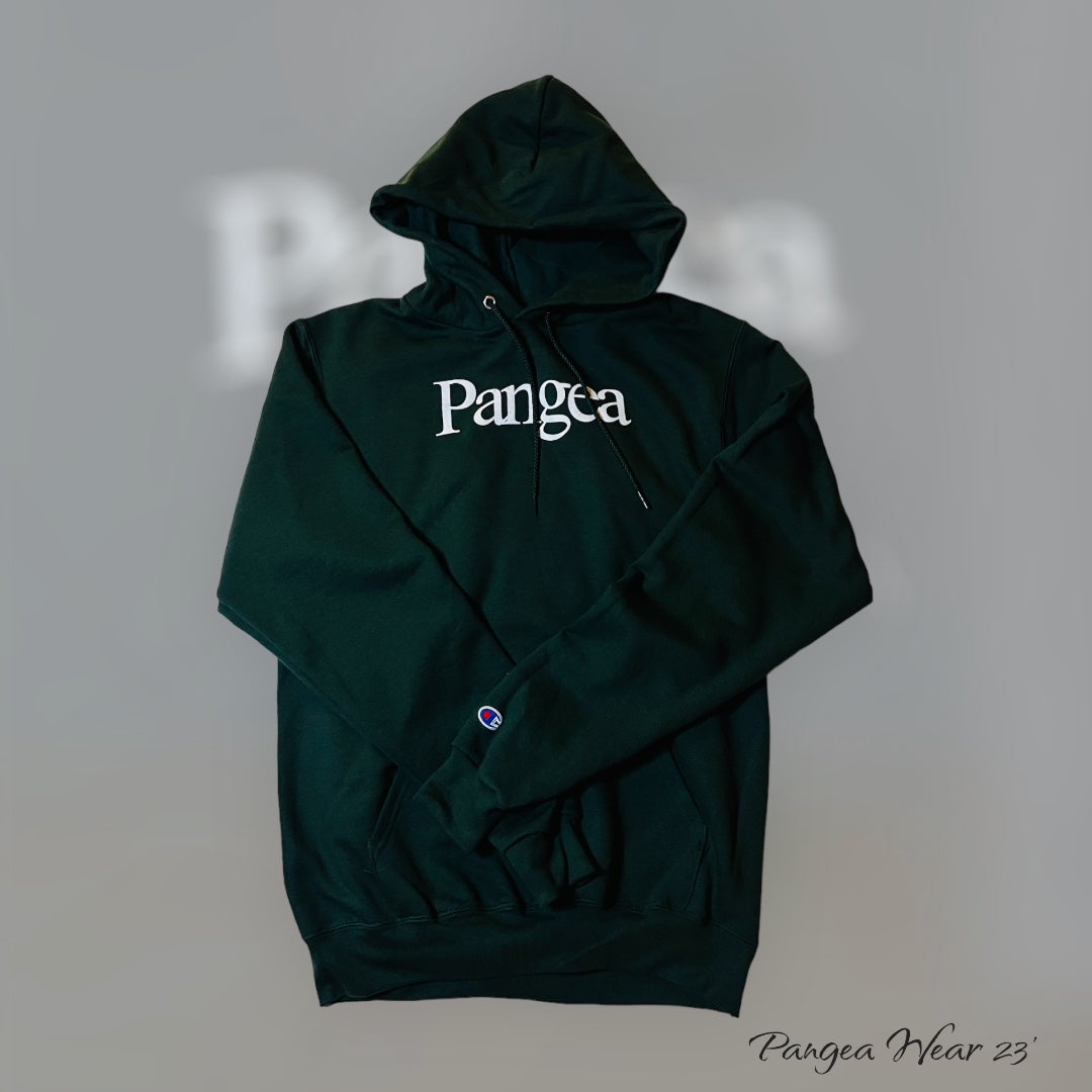 Champion Pangea Double Dry Eco Hooded Sweatshirt