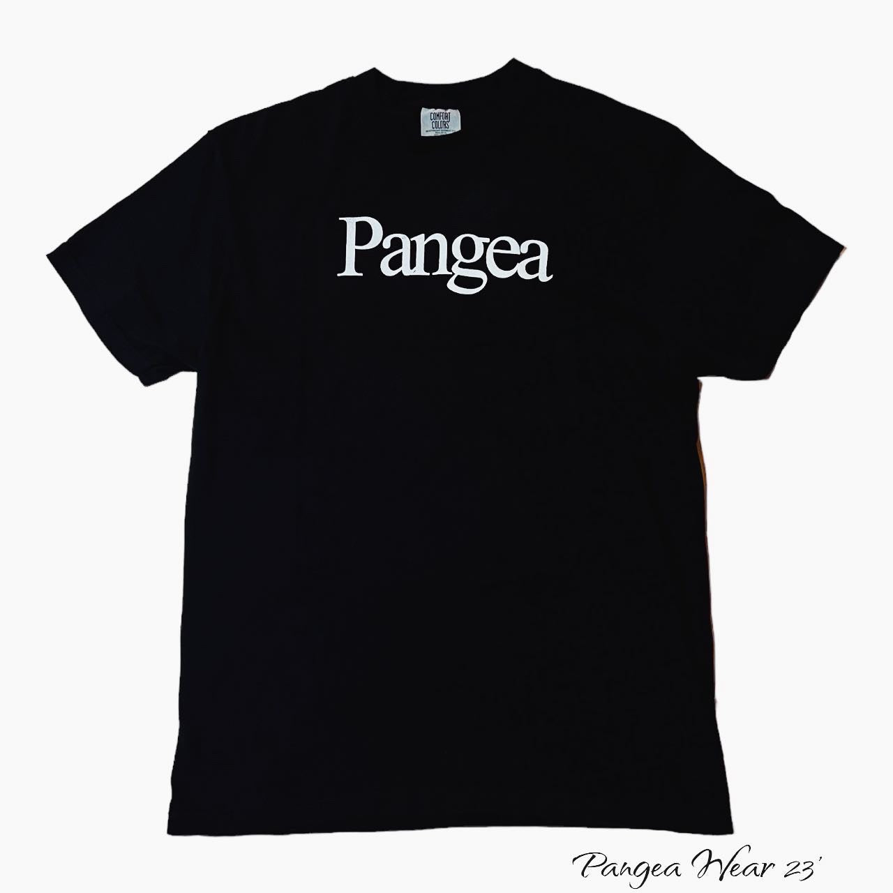 Comfort Colors Heavyweight T-Shirt