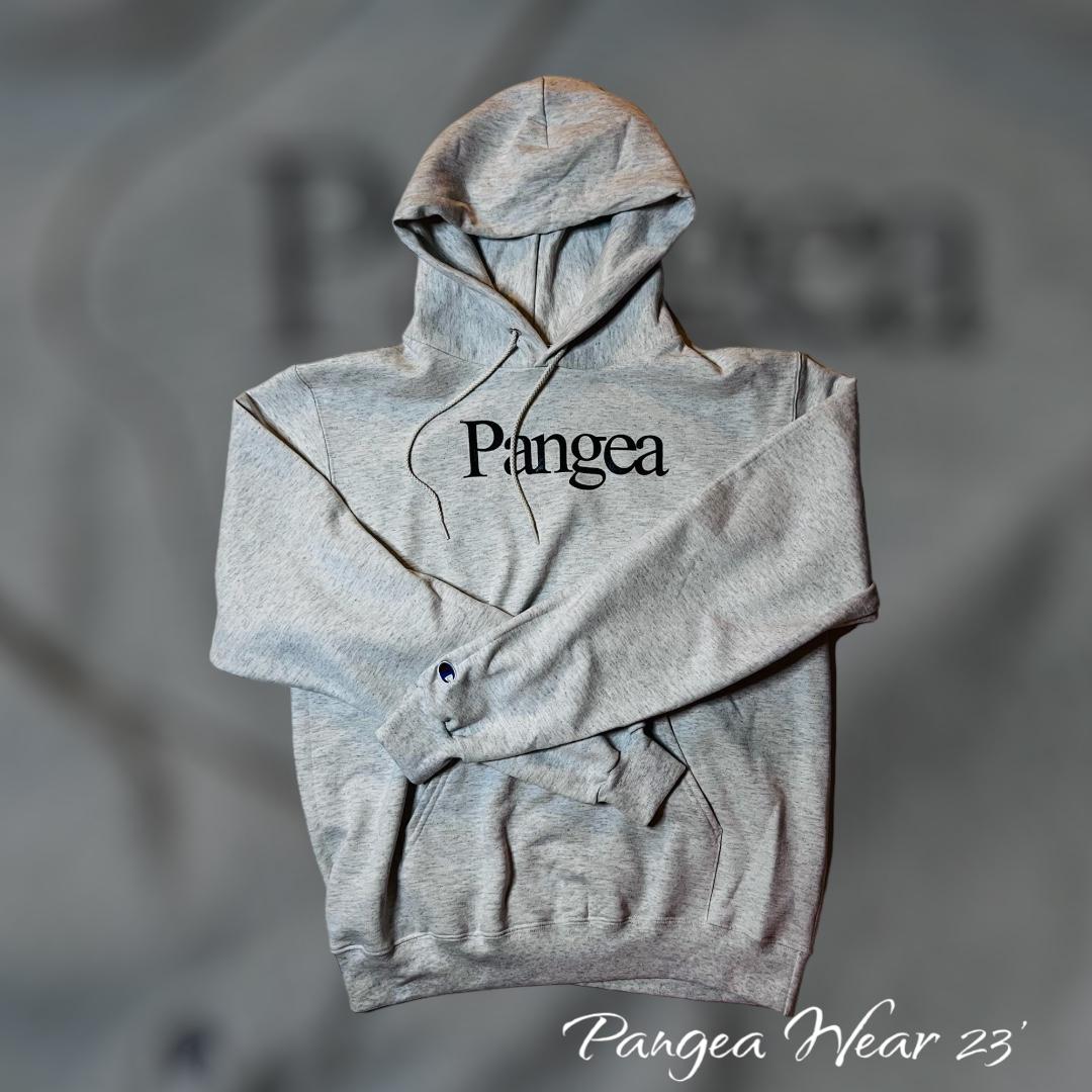 Champion Pangea Double Dry Eco Hooded Sweatshirt