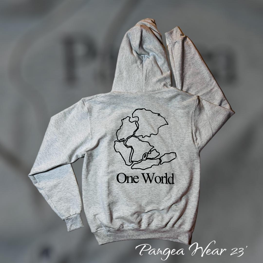 Champion Pangea Double Dry Eco Hooded Sweatshirt